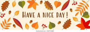niceday1